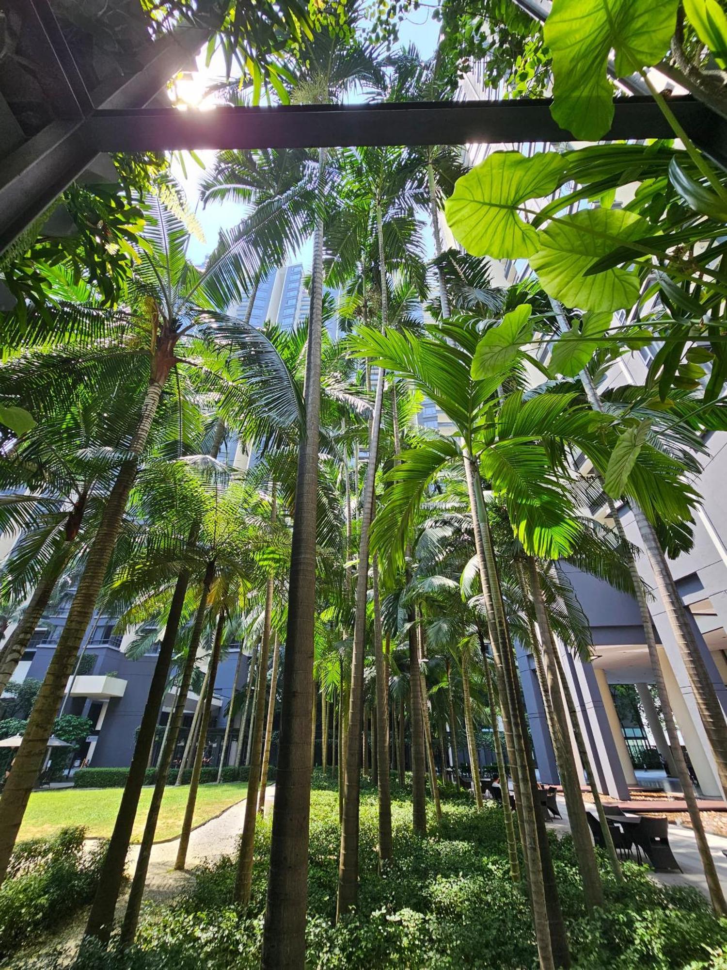 Urban Oasis At St Mary Klcc 1bed2bath Pangsapuri *